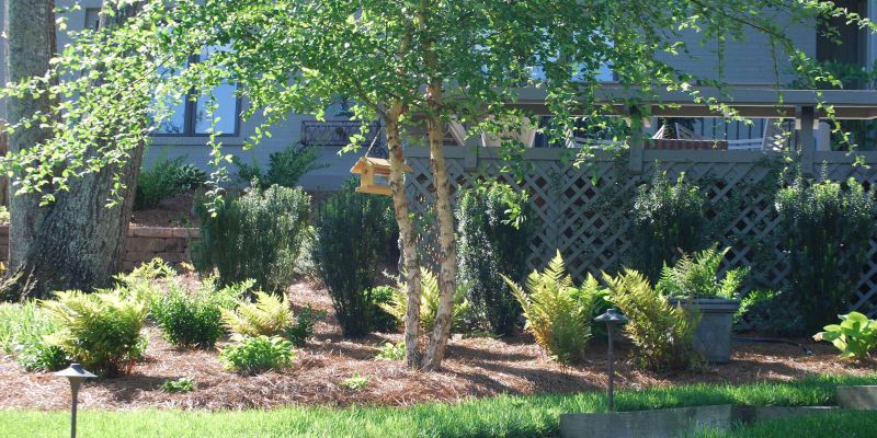 Lawncare