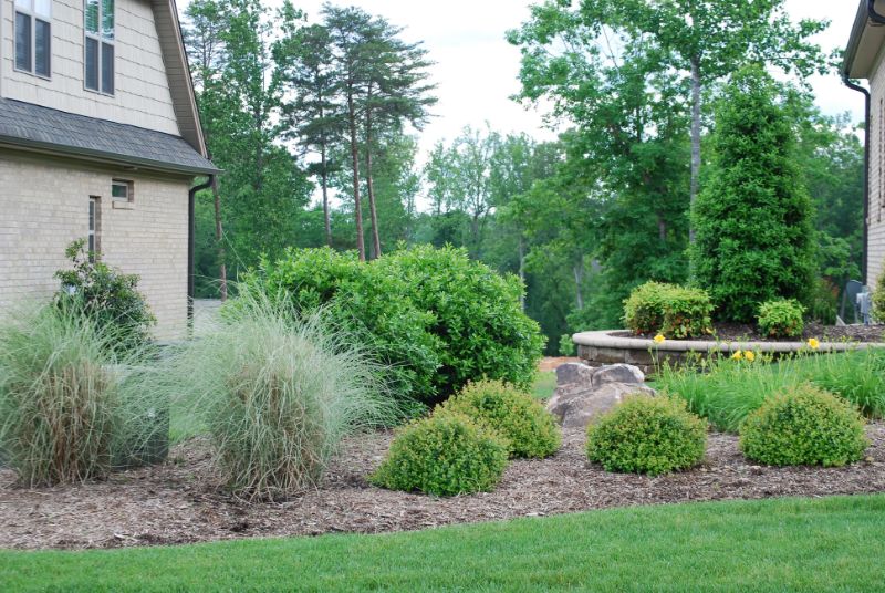 Lawncare