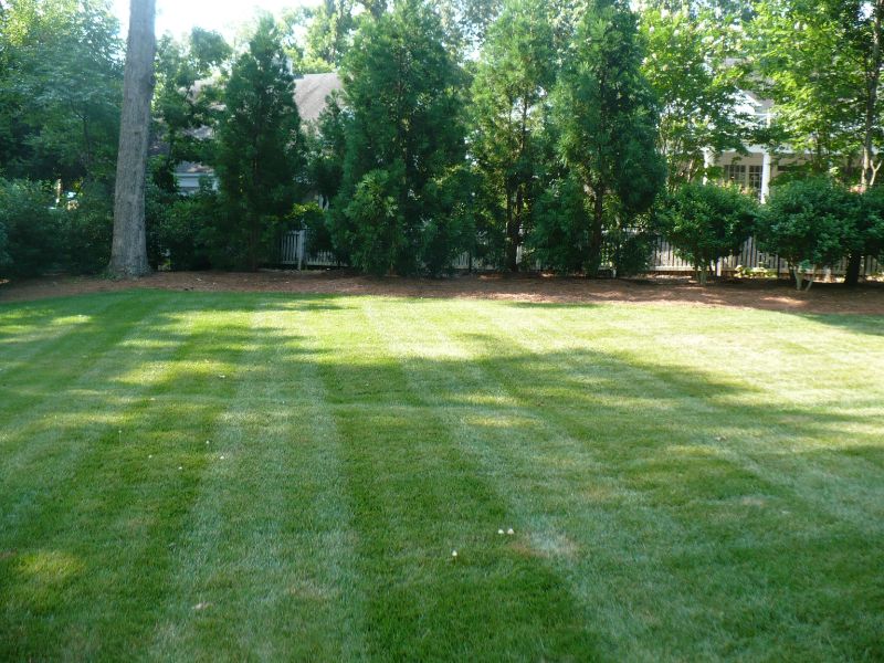 Lawncare