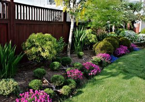 Make Your Dream Landscaping a Reality with These Tips