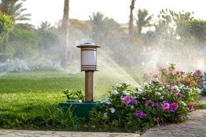 How Irrigation Helps Your Yard Thrive