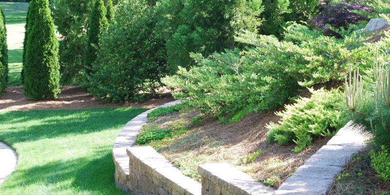 Lawn Care in High Point, North Carolina
