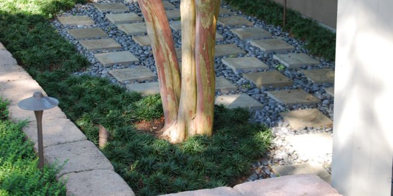 Tree Installation in High Point, North Carolina